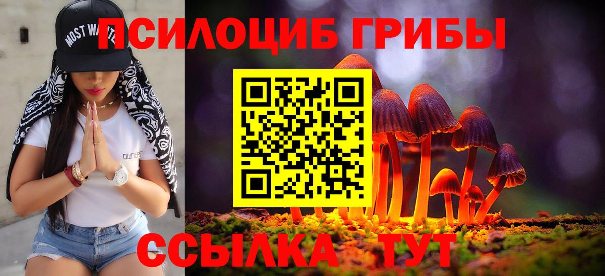 Галлюциногенные грибы Psilocybe  Псилоцибиновые грибы Psilocybe  Вход с VPN  Красноармейск 